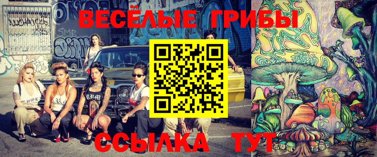 Галлюциногенные грибы прущие грибы Заинск