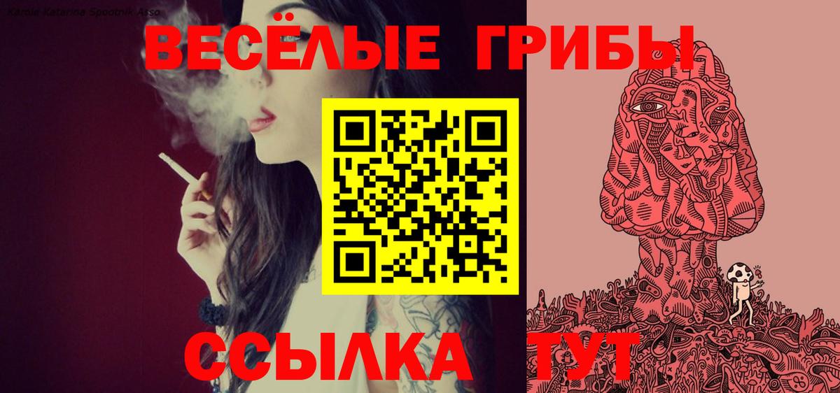 Псилоцибиновые грибы Cubensis  Заинск 