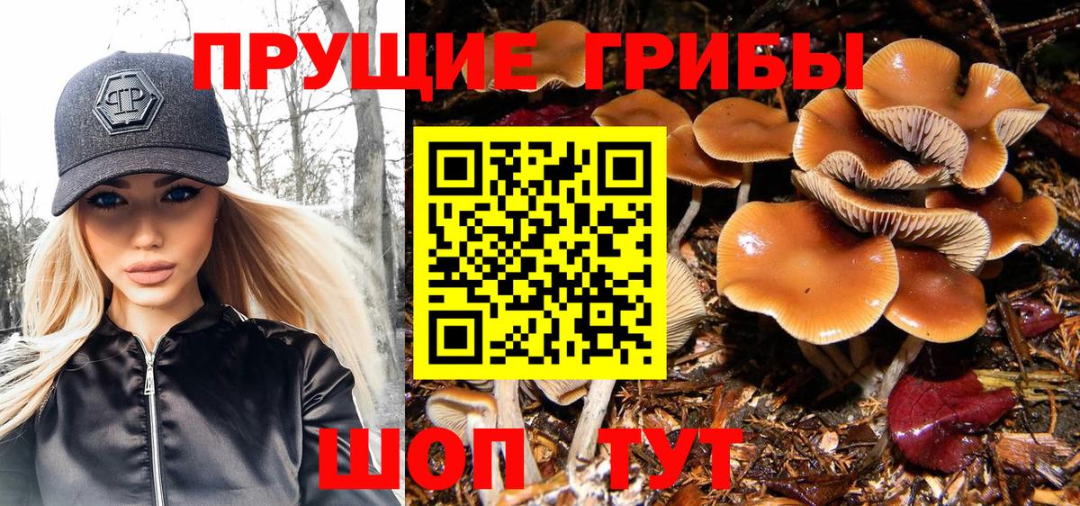 Галлюциногенные грибы Magic Shrooms  Вход с VPN  Заинск 